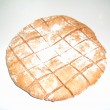 chlebek alpejski